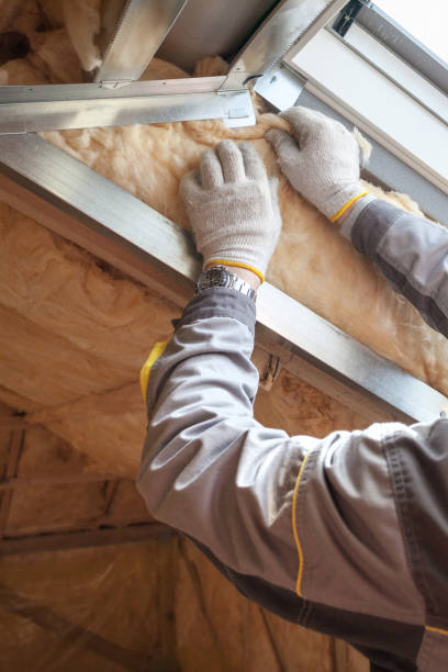 Best Insulation Removal  in Kennedale, TX